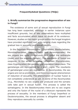 Consortium for Educational Communication