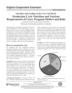 Production Cycle Nutrition and Nutrient