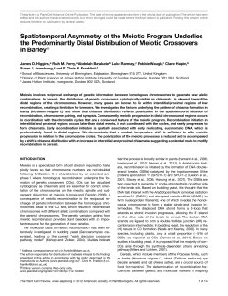 Spatiotemporal Asymmetry of the Meiotic Program