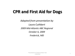 CPR and First Aid for Dogs