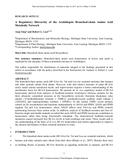 A Regulatory Hierarchy of the Arabidopsis Branched