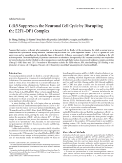 Cdk5 Suppresses the Neuronal Cell Cycle by Disrupting the E2F1