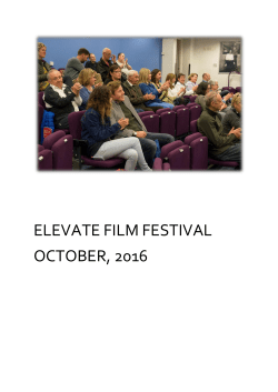 Evaluation of Elevate Film Festival, 2016