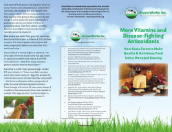 More Vitamins and Disease-Fighting Antioxidants