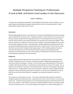 Multiple-Perspective Teaching for Professionals: A Look