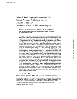 Delayed Basal Hyperpolarization of Cat Retinal Pigment Epithelium