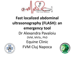 Fast localized abdominal ultrasonography (FLASH): an