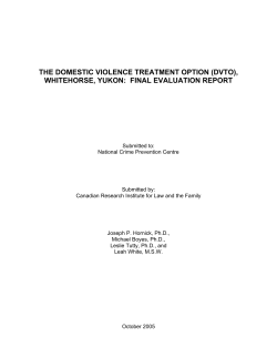THE DOMESTIC VIOLENCE TREATMENT OPTION (DVTO