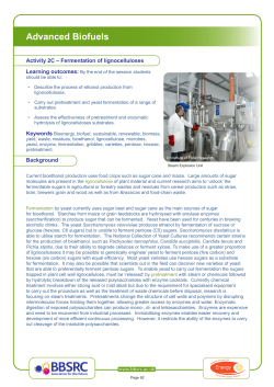 fermentation-of-lignocelluloses-activity