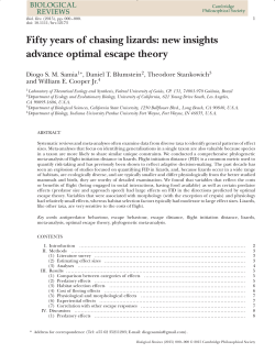 Fifty years of chasing lizards: new insights advance optimal escape