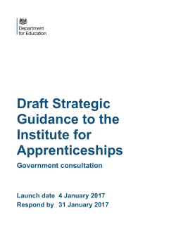 Government`s Draft Strategic Guidance to the Institute for