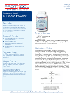 D-Ribose Powder - Evolving Nutrition