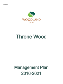 Throne Wood - Woodland Trust