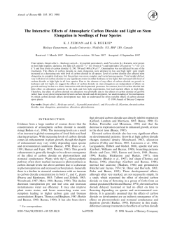 The Interactive Effects of Atmospheric Carbon Dioxide and Light on