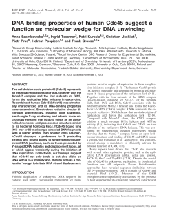 DNA binding properties of human Cdc45 suggest a function as