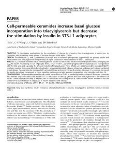 PAPER Cell-permeable ceramides increase basal glucose