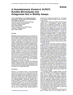 Article A Homotetrameric Kinesin-5, KLP61F, Bundles Microtubules
