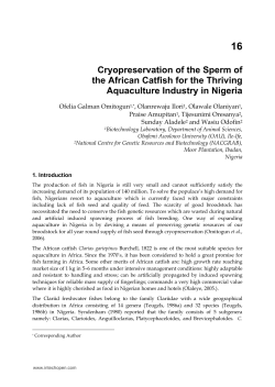 Cryopreservation of the Sperm of the African Catfish
