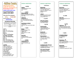 Sullivan County AA meeting list - SCIA-AA