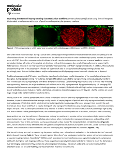 Improving the stem cell reprogramming characterization workflow