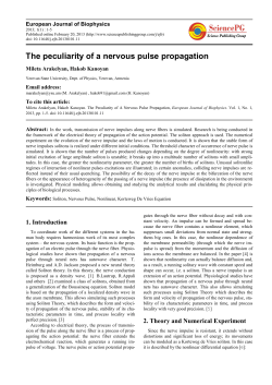 The peculiarity of a nervous pulse propagation