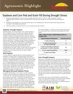 Soybean and Corn Pod and Grain Fill During