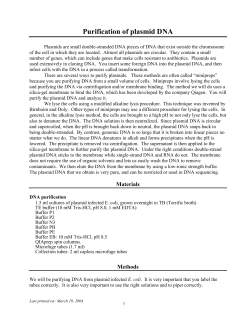 Plasmid DNA purification