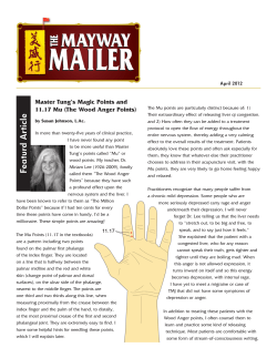 Master Tung`s Magic Points And 11.17 Mu