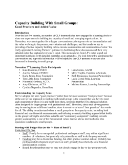 Capacity Building With Small Groups