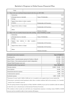 Bachelor`s Program in Global Issues Financial Plan