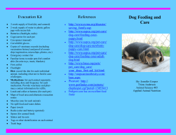 Dog - Louisiana Tech University