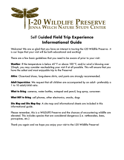 Field Trip Experience - I