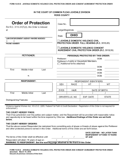 Juvenile Domestic Violence Civil Protection Order and Consent