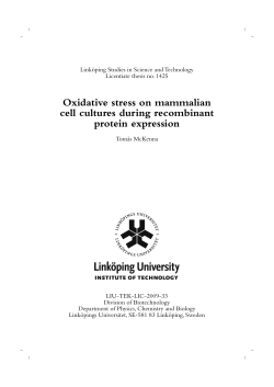 Oxidative stress on mammalian cell cultures during