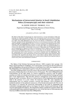 Mechanisms of intracranial kinetics in fossil
