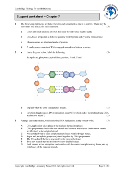 Support worksheet &ndash; Chapter 7 - Cambridge Resources for the IB