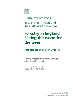 Forestry in England: Seeing the wood for the trees