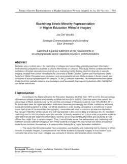 Examining Ethnic Minority Representation in Higher Education