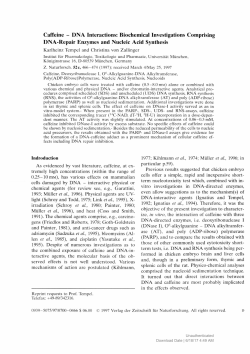 Caffeine - DNA Interactions: Biochemical Investigations