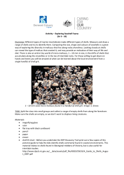 Activity 2: Taroona seashell fauna