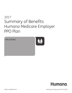 2017 Summary of Benefits - PPO Standard Plan 079/065