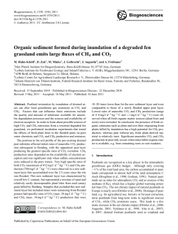 Organic sediment formed during inundation of a
