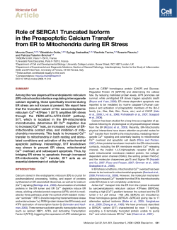 Role of SERCA1 Truncated Isoform in the Proapoptotic Calcium