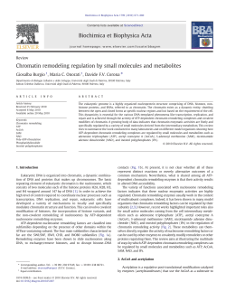 Chromatin remodeling regulation by small molecules