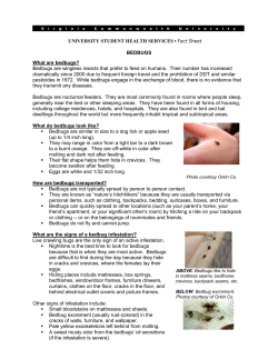 Bedbugs - VCU Student Affairs