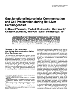 Gap Junctional Intercellular Communication and Cell Proliferation