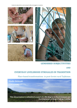 Gendered subjectivities and everyday livelihood struggles in transition