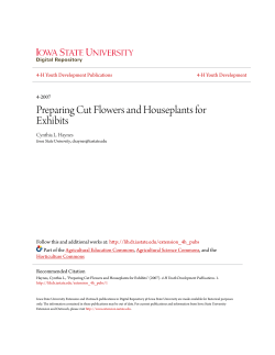 Preparing Cut Flowers and Houseplants for Exhibits