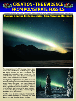 the evidence from polystrate fossils