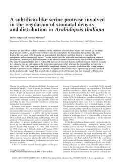 A subtilisin-like serine protease involved in the regulation of